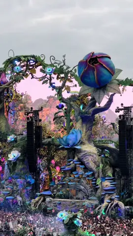 30 days left until @Tomorrowland Brasil 2025. #electronicmusic #tomorrowland #festival #tomorrowlandbrasil 