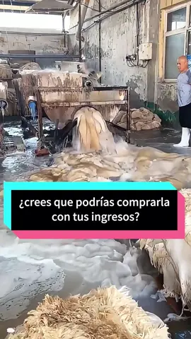 Your Wool Blanket Started Like THIS 😳#WoolBlanket #Sheepskin ##knowledge #usa_tiktok