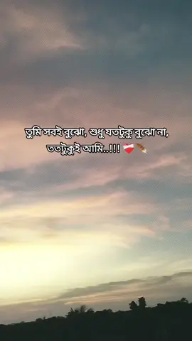 তুমি সবই বুঝো, শুধু যতটুকু বুঝো না, ততটুকুই আমি..!!! ❤️‍🩹🪶#foryou #fyp #foryoupage #viral 