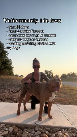 It’s a curse #dogsoftiktok #americanbully #xlbully 