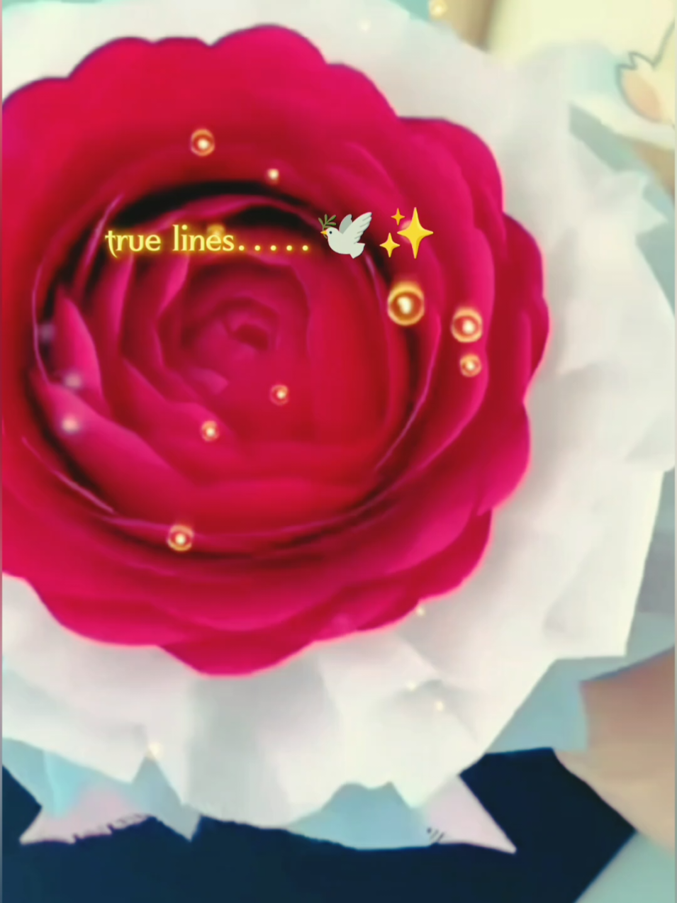 #sidra#tiktokgrowth#truelines  #tiktokcreator#flowerbouquets 