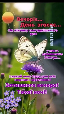 #доброговечірньоговідпочинку #мирногонеба #тихоїночі🙏 #