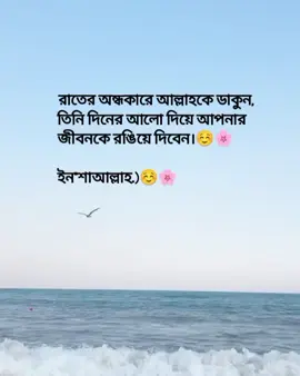 রাতের অন্ধকারে আল্লাহকে ডাকুন, তিনি দিনের আলো দিয়ে আপনার জীবনকে রঙিয়ে দিবেন ইন