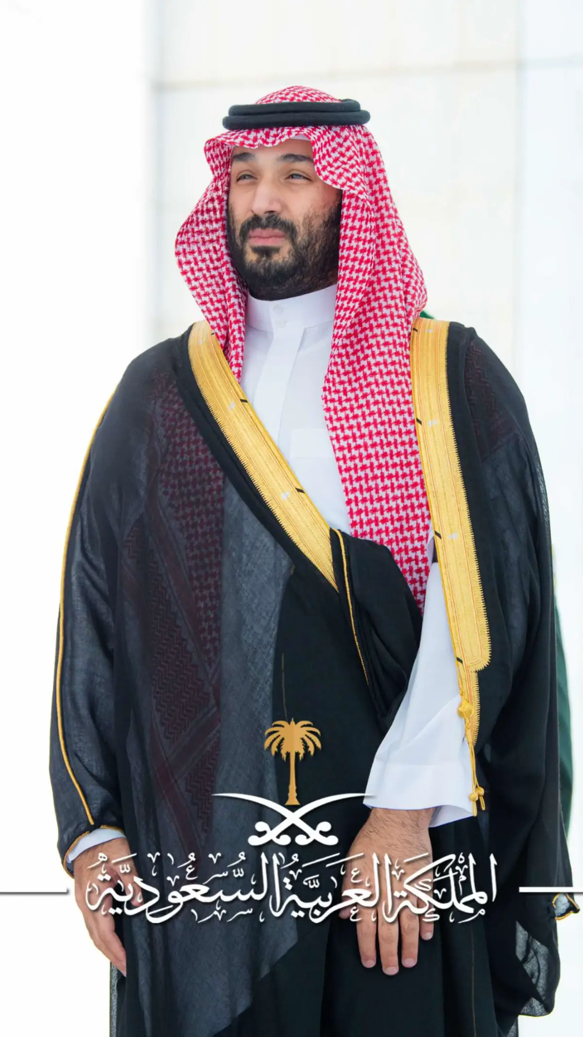 #CapCut #محمد_بن_سلمان 