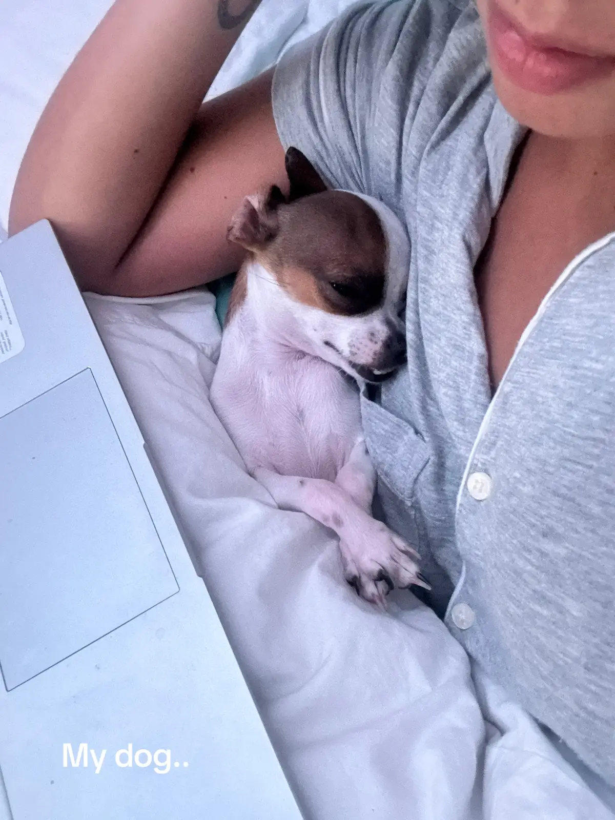 My sweet angels🐶💟
