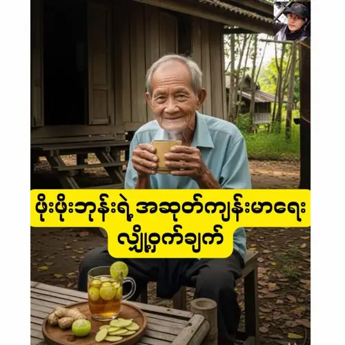 #လွယ်ကူတဲ့နည်းနဲ့ အဆုတ်ကို ကျန်းမာအောင် ထိန်းသိမ်းနိုင်မယ့် အိမ်တွင်းဖြစ် သဘာဝဆေးနည်းလမ်း ဖိုးဖိုးဘုန်းရဲ့ အဆုတ်ကျန်းမာရေး လျှို့ဝှက်ချက် “အရင်ကတော့ ဖိုးဖိုးလည်း ဥယျာဉ်ခြံထဲမှာ အလုပ်လုပ်တော့ ဆေးလိပ်တို့၊ မီးခိုးငွေ့တွေနဲ့ မကင်းခဲ့ရဘူး။ အဆုတ်နာပြီး ရင်ဘတ်အောင့်တဲ့အထိ ချောင်းဆိုးခဲ့ရတာလည်း ခဏခဏပဲ။ နောက်တော့ ဆေးလိပ်ဖြတ်ပြီး သဘာဝဆေးဖက်ဝင်ပစ္စည်းတွေကို စမ်းသောက်ကြည့်လိုက်တာ အဆုတ်တွေ တဖြည်းဖြည်း သန်မာလာတယ်၊ အသက်ရှူရတာလည်း ပိုပြီး ချောင်လည်လာတယ်၊ အလွယ်တကူ မောပန်းတာမျိုးလည်း မရှိတော့ဘူး” ဖိုးဖိုးဘုန်းက ပြုံးပြီး သူ့ခြင်းတောင်းထဲက ဆေးဖက်ဝင်ပစ္စည်းတွေကို တစ်ခုချင်းစီ ထုတ်ပြရင်း ပြောပြခဲ့ပါတယ်။ ၁။ ဆီးဖြူသီးနဲ့ ပျားရည်ဖျော်ရည် လိုအပ်တဲ့ ပစ္စည်းများ  * ဆီးဖြူသီး အစို ၃-၄ လုံး (သို့) အခြောက် ၅-၆ လုံး  * ပျားရည်စစ်စစ် စားပွဲတင်ဇွန်း ၁ ဇွန်း  * ရေနွေး ၁ ဖန်ခွက် ပြုလုပ်နည်း  * ဆီးဖြူသီးကို ရေနွေးအနည်းငယ်နဲ့ ဖျော်ပြီး အရည်ညှစ်ပါ။  * ရရှိလာတဲ့ အရည်ထဲကို ပျားရည်ထည့်ပြီး သမအောင် မွှေပေးပါ။  * မနက်ခင်းတိုင်း သောက်ပေးနိုင်ပါတယ်။  * အာနိသင် - ဗီတာမင်စီ ကြွယ်ဝတာကြောင့် အဆုတ်ကို အားဖြည့်ပေးပြီး ချောင်းဆိုးခြင်း၊ အဆုတ်နာခြင်းတို့ကို သက်သာစေကာ အသက်ရှူလမ်းကြောင်းကို ရှင်းလင်းစေပါတယ်။ ၂။ နွယ်ချို၊ ဂျင်းနဲ့ သံပုရာပြုတ်ရည် လိုအပ်တဲ့ ပစ္စည်းများ  * နွယ်ချိုအခြောက် ၅ ဂရမ်  * ဂျင်းအစို ၅-၆ ချပ်  * သံပုရာသီးတစ်ခြမ်း ပြုလုပ်နည်း  * နွယ်ချိုနဲ့ ဂျင်းကို ရေ ၃ ဖန်ခွက်နဲ့ ထည့်ပြုတ်ပြီး ၁.၅ ဖန်ခွက်စာ ကျန်တဲ့အထိ တည်ပေးပါ။  * ပြီးရင် ခွက်ထဲထည့်ပြီး နွေးလာတဲ့အခါ သံပရာရည်ညှစ်ထည့်ကာ သောက်သုံးနိုင်ပါတယ်။  * အာနိသင် - အဆုတ်ကို ကျန်းမာစေပြီး နာတာရှည် ချောင်းဆိုးတာတွေကို သက်သာစေပါတယ်။ ရောင်ရမ်းမှုကို လျှော့ချပေးနိုင်ပြီး အသက်ရှူရတာ ပိုမိုချောမွေ့စေပါတယ်။ ၃။ ပိုးစာရွက်ပြုတ်ရည် လိုအပ်တဲ့ ပစ္စည်းများ  * ပိုးစာရွက် အစို ၇-၁၀ ရွက်  * ရေသန့် ၃ ဖန်ခွက် ပြုလုပ်နည်း  * ရေနဲ့ ပိုးစာရွက်ကို ဆူအောင်တည်ပြီး ၁.၅ ဖန်ခွက်စာ ကျန်တဲ့အထိ ပြုတ်ပေးပါ။  * တစ်နေ့ကို တစ်ကြိမ်လောက် နွေးနွေးလေး သောက်ပေးနိုင်ပါတယ်။  * အာနိသင် - အဆုတ်ကို အားကောင်းစေပြီး အဆုတ်ထဲမှာ ရှိတဲ့ အချွဲတွေကို လျှော့ချပေးကာ အသက်ရှူလမ်းကြောင်းကို ရှင်းလင်းစေပါတယ်။ ဖိုးဖိုးဘုန်းရဲ့ မှာကြားချက် “မြေးတို့ရေ... ငါတို့မှာ အဆုတ်တစ်စုံပဲရှိတာမို့ ဂရုတစိုက်နဲ့ ထိန်းသိမ်းရမယ်။ ဆေးလိပ်၊ မီးခိုးငွေ့နဲ့ တခြားအဆိပ်အတောက်တွေကို ရှောင်ပြီး ဒီလိုမျိုး ကိုယ့်အနီးအနားမှာ ရှိတဲ့ သဘာဝဆေးတွေနဲ့ ဂရုစိုက်ပါ။ ဒါဆို ဖိုးဖိုးလိုပဲ အသက်ရှူတာလည်း ချောင်လည်မယ်၊ မြေးတွေကြီးလာတာကိုလည်း အချိန်အကြာကြီး နေထိုင်ကြည့်ရှုနိုင်မယ်” ဖိုးဖိုးဘုန်း ပြောပြတဲ့ ဒီအဖိုးတန်နည်းလမ်းလေးတွေက သင့်အတွက် အဆင်ပြေစေမယ်လို့ မျှော်လင့်ပါတယ်။ #creditပေးပါတယ်  #yoyocooking #ZBA 