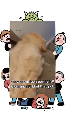 A funny golden retriever.#dog #dogsoftiktok #doglover #funny #funnyvideos #foryou #fypage #fypツ #funnydog #funnytiktok #dogs#usa