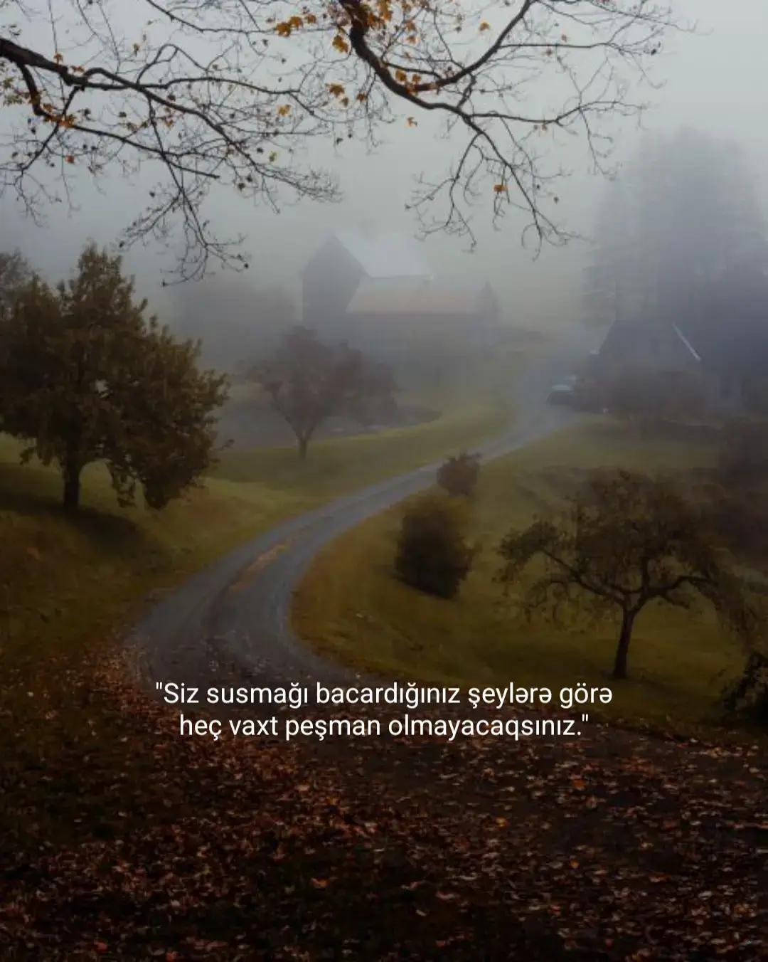 #motivasiya #psixologiya #statuslar #anlamlistatuslar #baki 