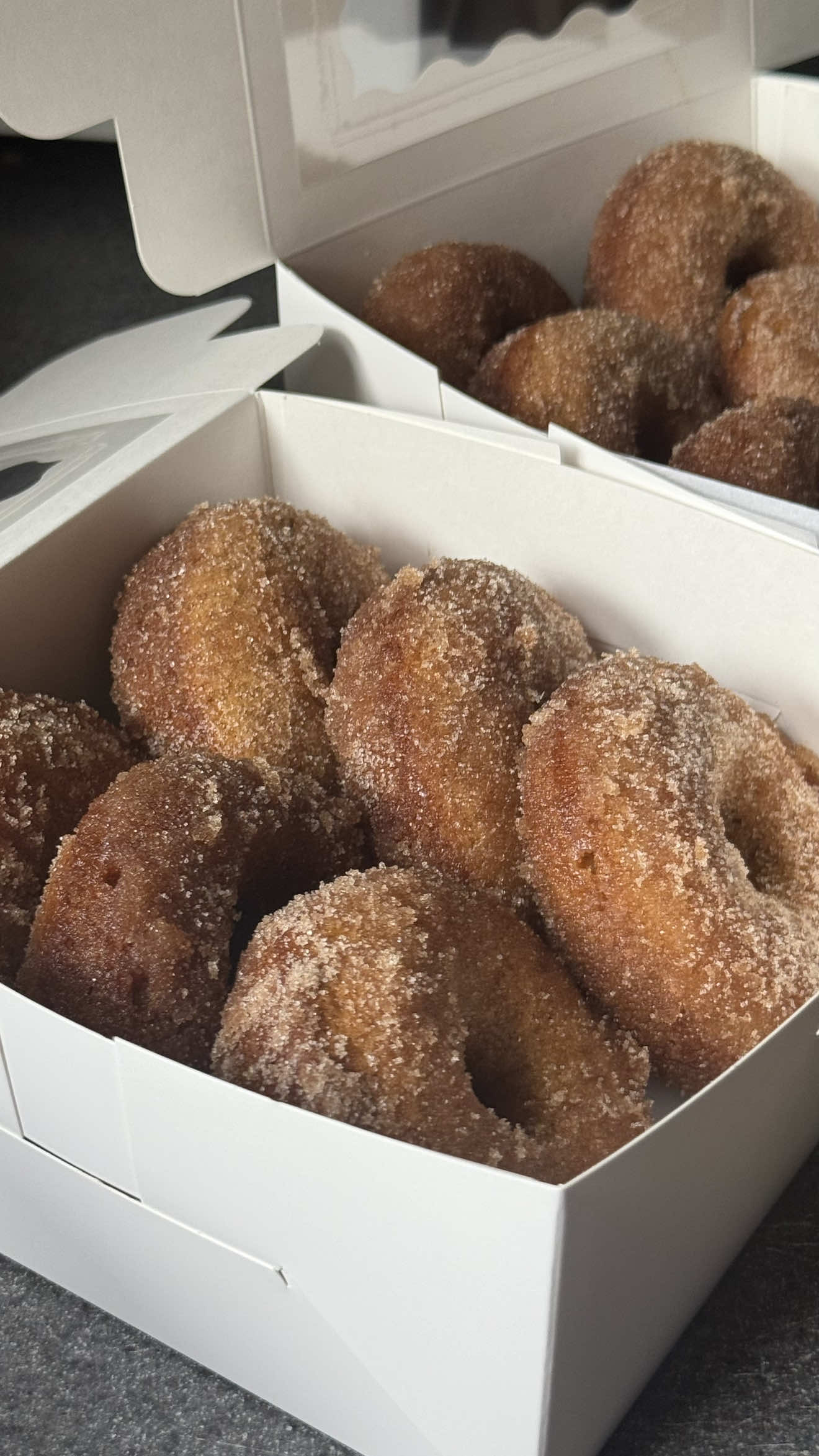 Make apple cider donuts with me 🍎🫶🏽  Donuts * 4 tbsp unsalted butter, melted * 1/2 cup brown sugar * 1/4 cup white granulated sugar * 2 tsp vanilla extract or paste * 1 cup apple cider * 2 large eggs, room temperature * 2 cups all purpose flour * 1 tsp baking powder * 1 tsp baking soda * 1 tsp apple pie spice * 1/2 tsp salt Cinnamon Sugar Coating * 3/4 cup white granulated sugar * 2 tsp ground cinnamon * 1/2 cup butter, melted Bake Temperature: 350F Bake Time: 15 minutes Pan: 2-6 cavity donut pans 1. Preheat oven to 350F. 2. Add butter, brown sugar, white sugar, and vanilla to a bowl and mix until combined. Slowly add apple cider until combined. 3. While mixing, slowly add in your two room temperature eggs. 4. Directly to your bowl, add flour, baking powder, baking soda, apple pie spice, and salt. Mix/fold together until donut batter comes together. 5. Add your donut batter to a piping bag. 6. Spray your donut pans with nonstick spray or coat with butter or oil so they are easier to release from pan. 7. Pipe your donut batter into donut pans (making 12 donuts). 8. Bake at 350F for 15 minutes until golden brown around edges and top. 9. Take out of oven and let cool in pan for 5 minutes. 10. Mix together your cinnamon and sugar. Melt down your butter. Make sure they are in two separate bowls. 11. Coat donuts in butter then toss in cinnamon sugar. 12. Bite into these moist delicious apple cider donuts that will literally give you as taste of fall 🍎🍂 #appleciderdonuts #BakeWithMe #bakingfromscratch #falldesserts #zeetheintrovert