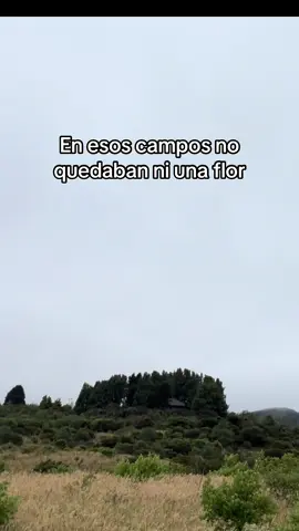 #caballos #rancheras #antonioaguilar🇲🇽 #videoviral #paisaje 