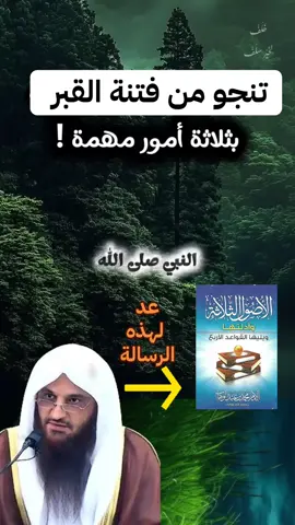 #محمد_بن_عبدالوهاب#عبدالرزاق_البدر #فتنة_القبر#تريندات_تيك_توك #اكسبلور 