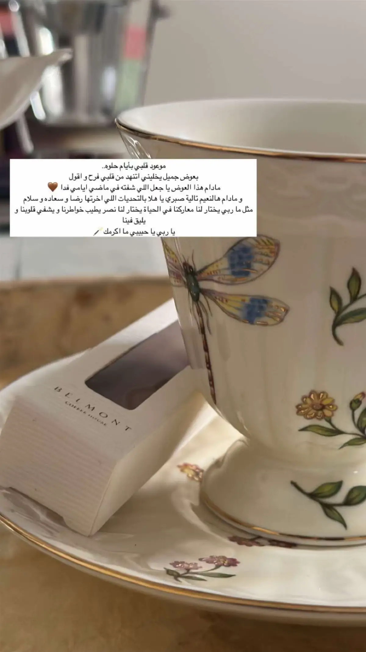 #الشعب_الصيني_ماله_حل😂😂🏃🏻‍♀️ #ماله_حل_الشعب_الصيني😂😂♥❤🌹 #مالي_خلق_احط_هاشتاقات🦦 #ماله_حل_الشعب_الصيني😂😂 #ماله_حل_الشعب_الصيني😂😂 ايام حلوه ♥️♥️