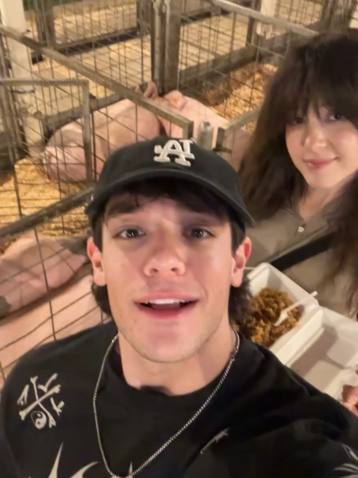 #piggy