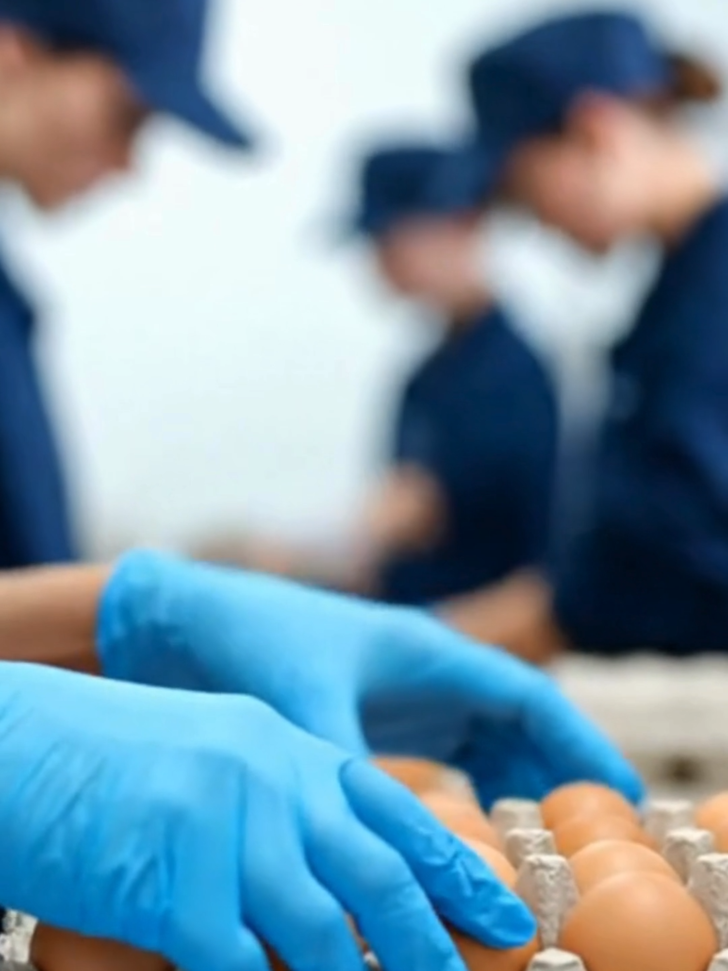 Comparto esta vacante para empacar huevos! 🥚📦  Oportunidad en el sector avícola y de producción de alimentos. #trabajos #vacantesdisponibles #empacadora #huevos #agro#avicola #latinos #usa🇺🇸#oportunidadlaboral #ecopop32025