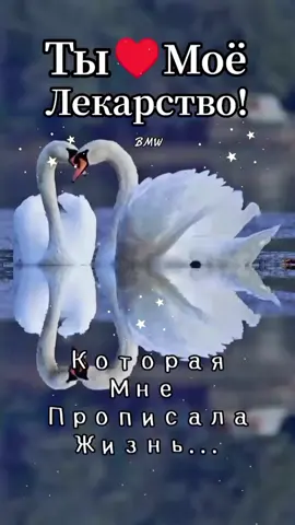 #любовь❤ #ты💞 #любимая♥️♥️♥️ 