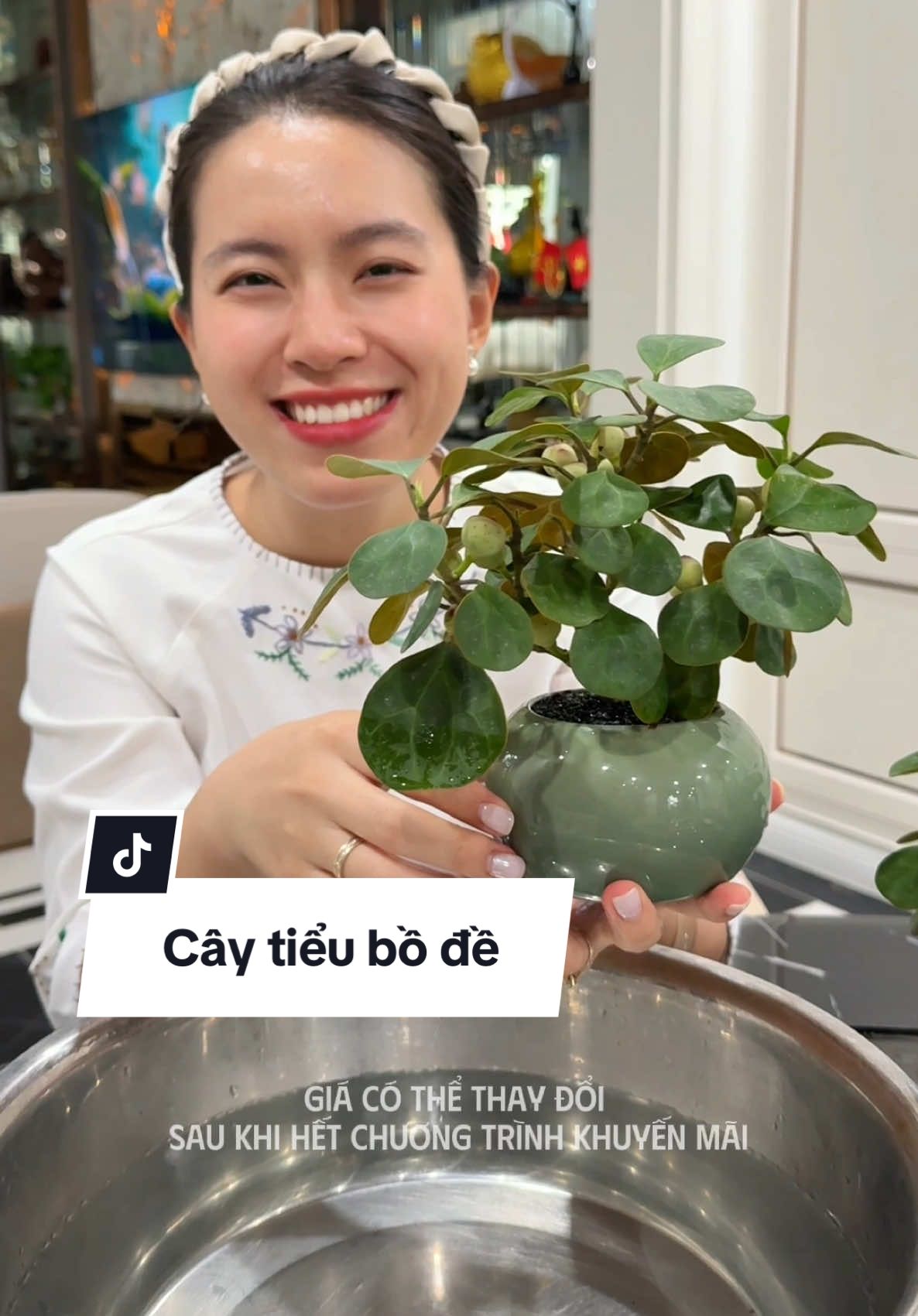Trả lời @Hà Mã Bụng Bự Bác chăm cây giống như trong video nhé #caytieubode #tieubode #caycanhdeban #ngocngannga #nnncaytieubode 