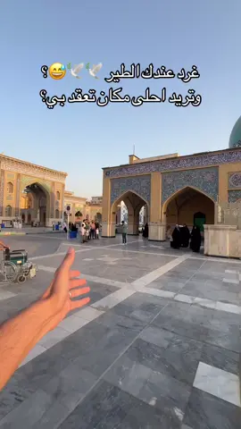منو راح يغرد عنده الطير ؟😅🕊️ من اجمل الاماكن 🤍#منوعات_عراقيه #العراق #النجف_الاشرف_الان 