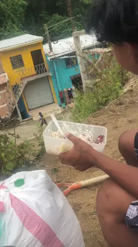 #paratiiiiiiiiiiiiiiiiiiiiiiiiiiiiiii 