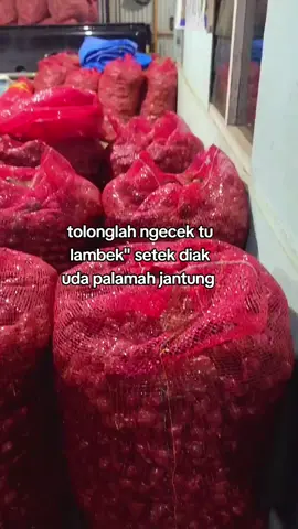 tasirok sirok darah uda diak 😅#katakataminang #minangviraltiktok #lewatberanda #bujangminang #gadihminang 