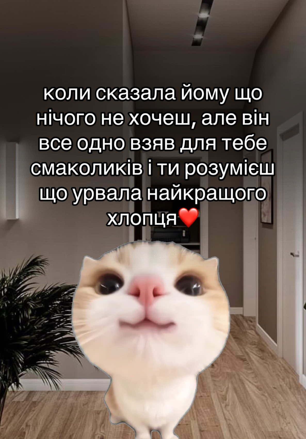 #жизажиттєва #відправкоханійлюдині 