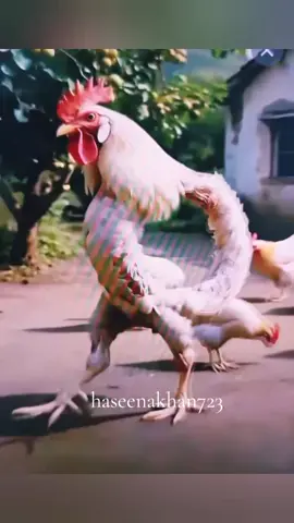 plz support me #foryou #1millonaudition #virl #funnyanimals 