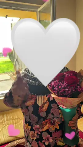 Ma grand mère masta dinguerie est de retour ! 