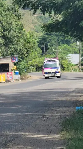Transporte cotasyl express #46 Toyota Coaster pasando por la aldea el triunfo cuyamapa con destino hacia yoro ciudad de la lluvia de peces  #Busologos #Yoreños  #toyotacoaster  #fypviralvideo🇭🇳🚍❤️  📸AlexRodriguez455 