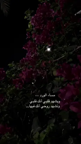#محمد_عبده #explore #fyp #fypシ #foryou 