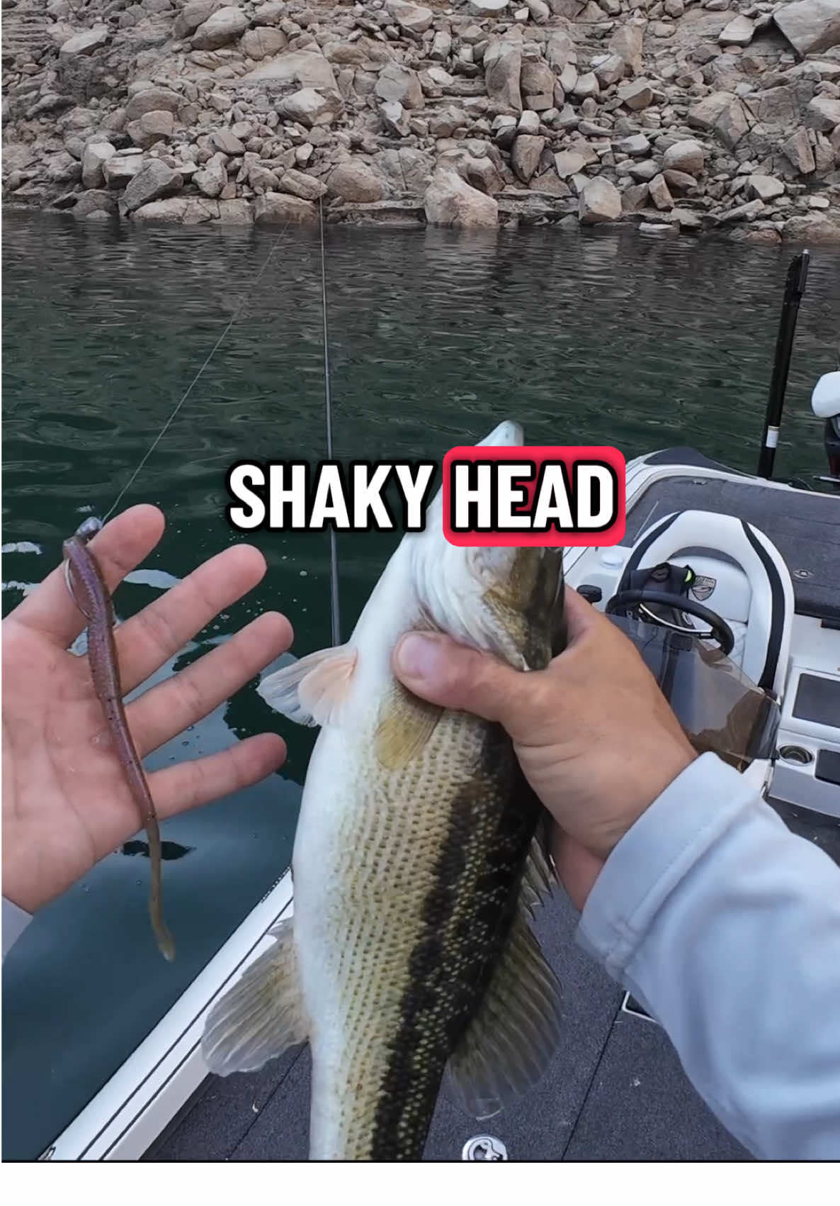Less is more 🎣 keep it on bottom, let the bait do the work. #BassUnion #ShakyHead #BassUnionJigs #BassUnionGuideService #bassfishingtips 