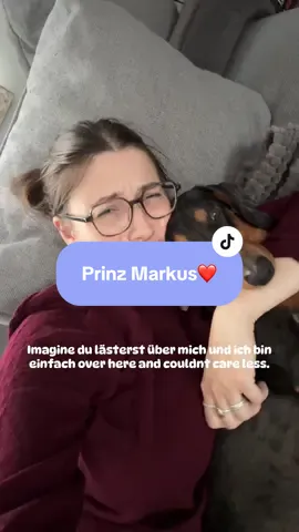 Ach der kleine Dackel Markus 🥹🐶 #dackel #dackelliebe #sausagedog #ween 