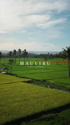 Coba tebak, setelah sound ini bakal ada film apa? 😅