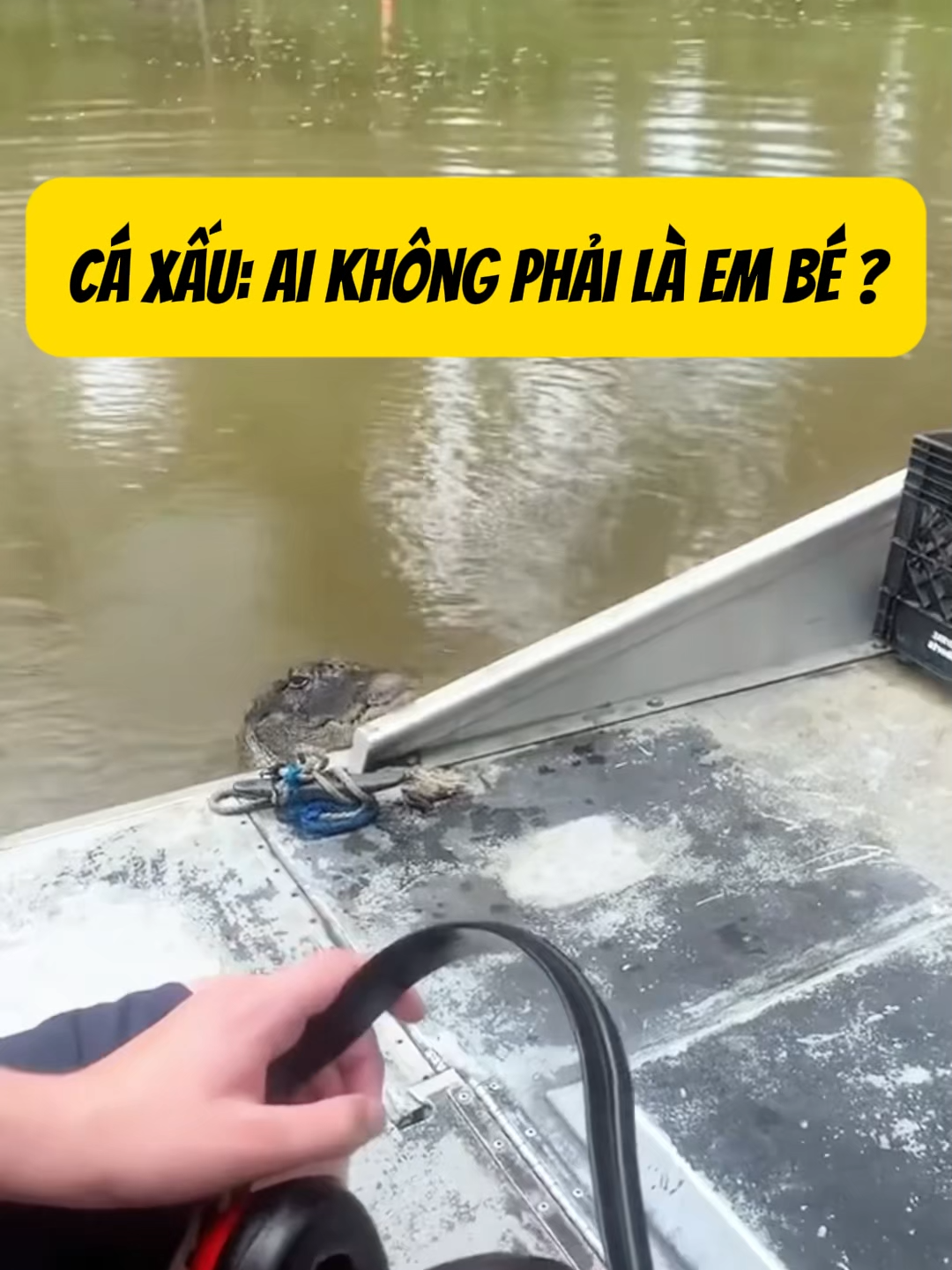 đứa bé trong thân xác đồ sộ #khurungbaton #dongvat #thegioidongvat #animals #fyp