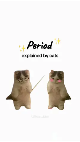 Period explained by cats :) #catanimation #period #cats #kittycat #kittyexplains 