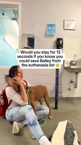 Don’t give up on Bailey 🙏🥲