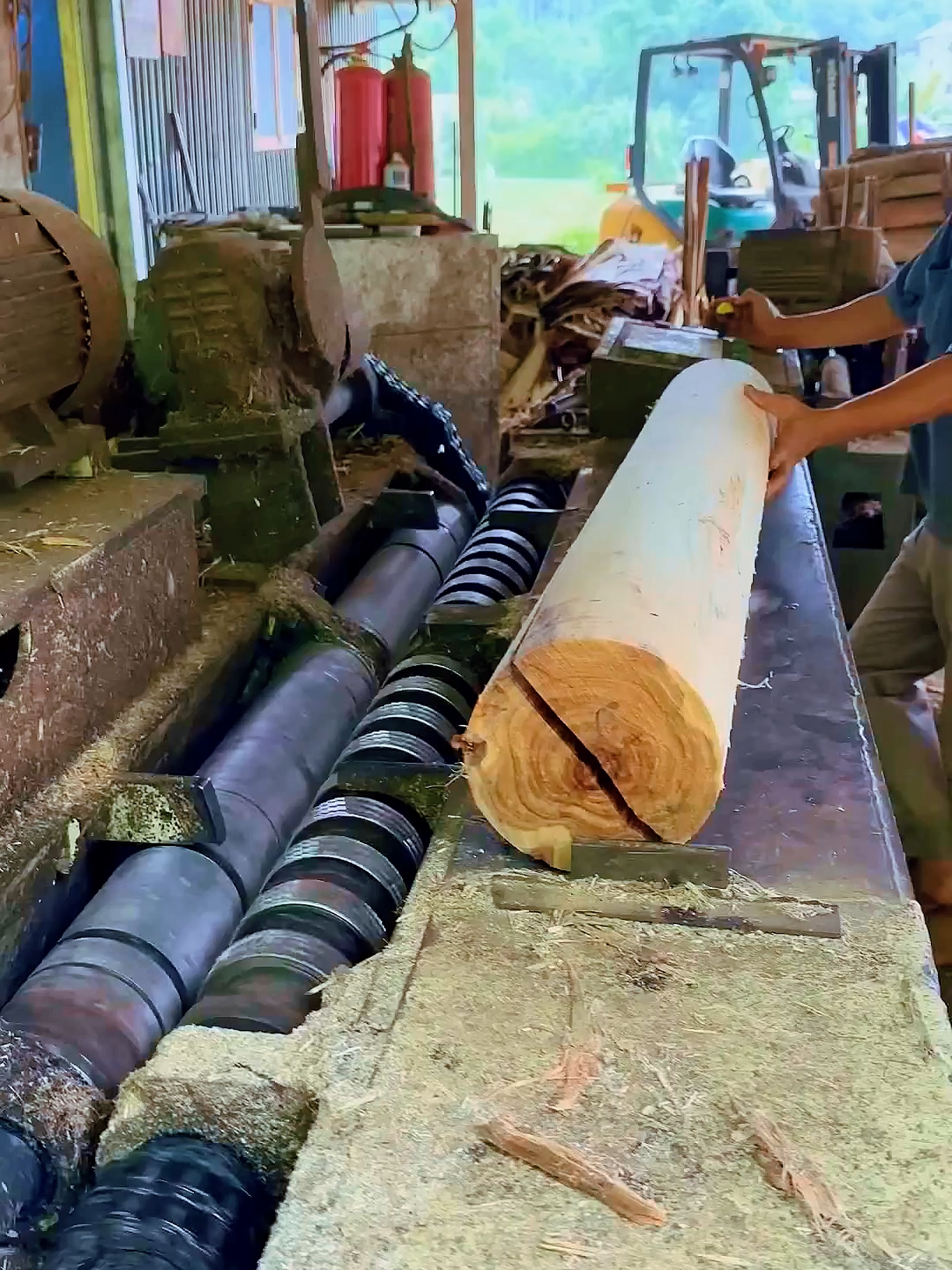 Clapping wood💕💕💕#woodworking #asmrwood #machine