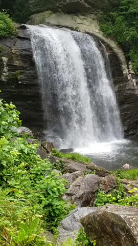 Looking Glass Falls in North Carolina #fyp #waterfall #travel #nature #Hiking 