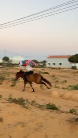 #wiilkafaraka🐎🐎🐎 #murusadenimo🐎🇵🇷 #@Miss dhax yar 🇸🇴❤️ @Malabo qurux 👌❤️🫶 