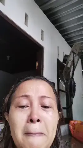 Seorang wanita yang membuka penampungan anjing di Bali meminta tolong untuk para anjingnya di selamatkan, kasihan sekali 😭 semoga semuanya segera bisa diselamatkan #dogrescuer #dogsaver #doglovers #dogloverforever #cutedog 