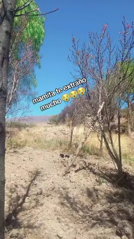#paratiiiiiiiiiiiiiiiiiiiiiiiiiiiiiiiiii # #fyppppppppppppppppppppppp  #chuquisacabolivia🇧🇴 