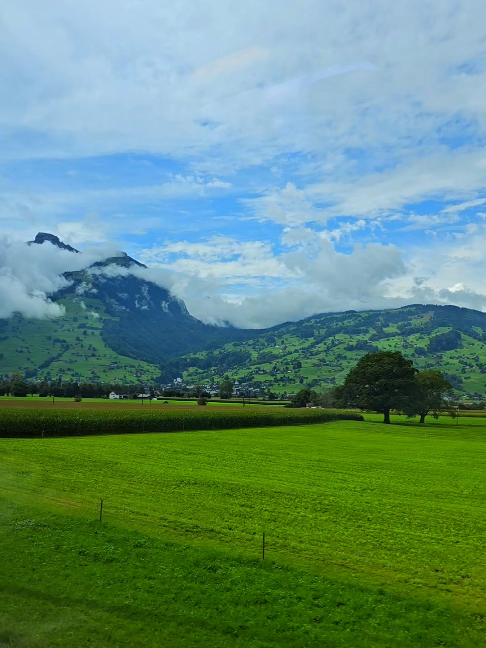 SWITZERLAND🇨🇭📍⛰️🌳🙌#switzerlandnature #swissmoments #foryoupage❤️❤️ #stgallen #nature 
