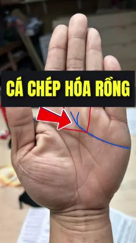 Chỉ tay quý hơn vàng#dcgr #fyp #xemchitay #trending 