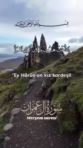 #قرآني #يكتشف #سورة 