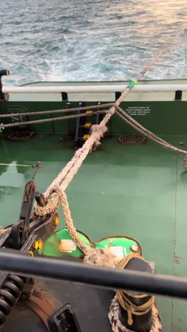 lihat kebunku versi dewasa#4u #foryou #kulikapal⛓️🌍🚢 #tugboat #viral 