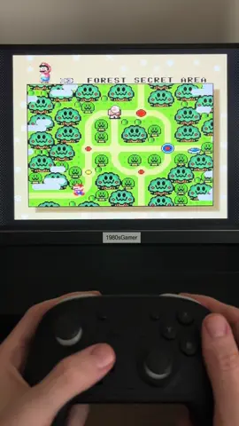 Another Mario World Glitch?