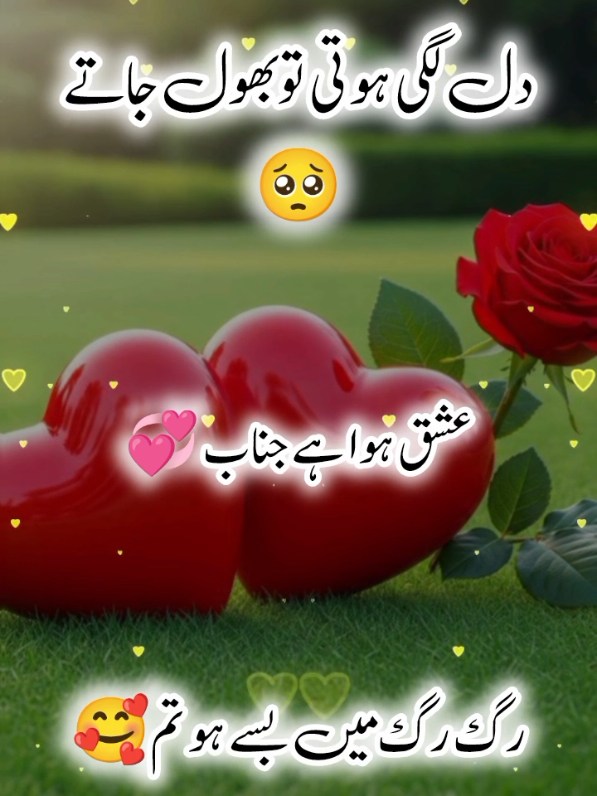 دل لگی ہوتی تو بھول جاتے  🥀♥️😇#foryou #foryoupage❤️❤️ #bhuran__tv #viewsproblem 