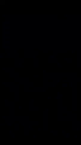 ان مولانا اسامه شيخنا وهوا الامير كامله 