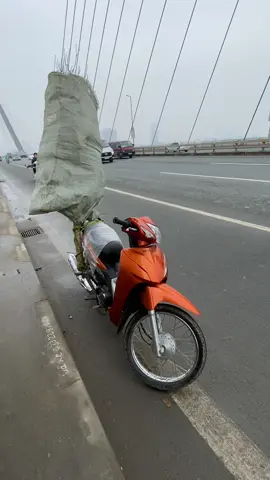 Sắm tết dần thôi ae...#xuhuong #tet2026