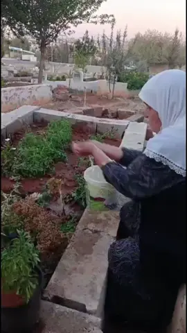 Allah her döktüğün su damlası ve attığın adım için mükâfatın cennet olur inşallah SİTTİ Meryem ☝️🤲🤍🩷