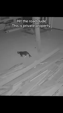 #lockemup 