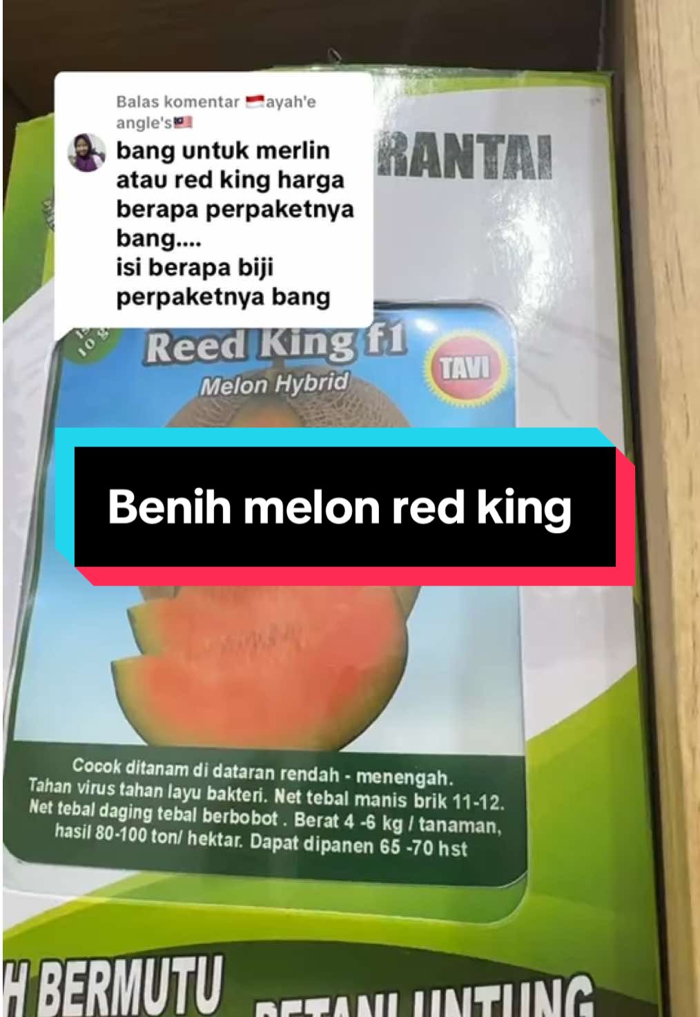 Membalas @🇮🇩ayah'e angle's🇲🇾 #petaniindonesia🇮🇩🇮🇩🇮🇩🌿🌿 #BenihUnggul #benihmelon #PencaparBenihSemangka 
